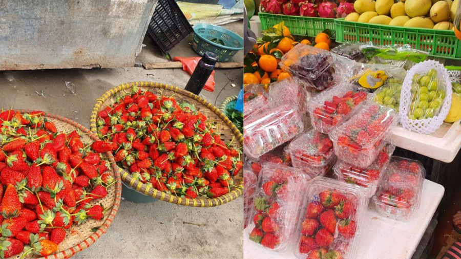 Dâu tây Mộc Châu đựng trong hộp nhựa, dâu Trung Quốc bán mẹt hoặc khay