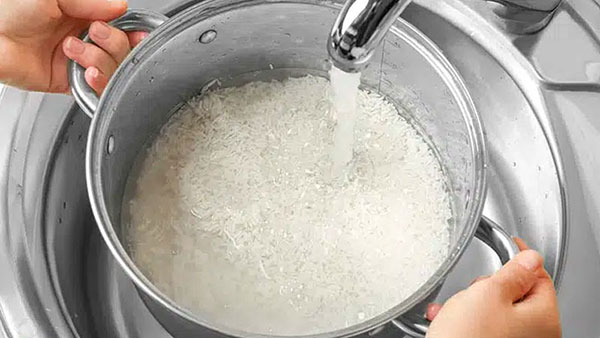 Tỉ lệ nước quyết định độ dẻo ngon cho cơm