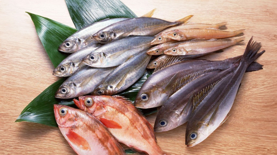 Cá biển rất bổ dưỡng nhưng phải cẩn trọng khi mua
