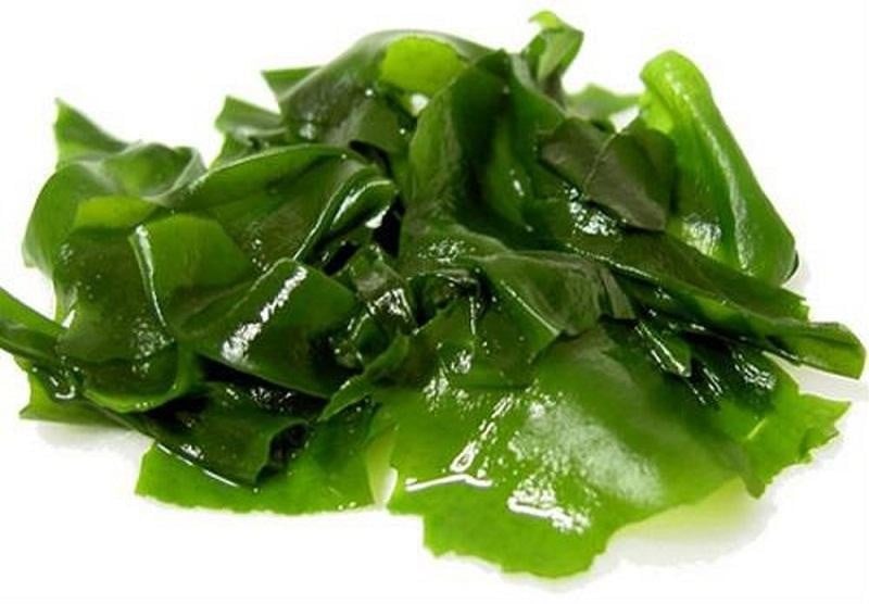 Rong biển chứa nhiều canxi gấp nhiều lần trứng sữa