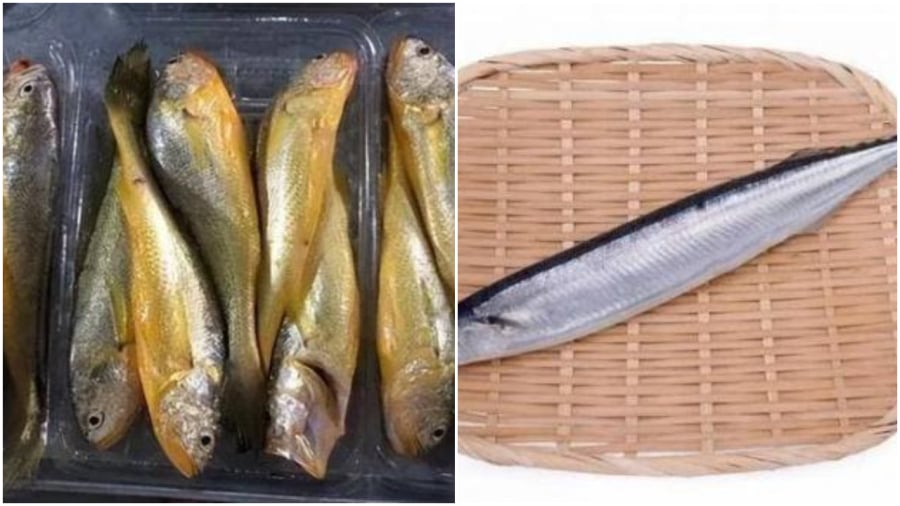 3 loại cá không nuôi hóa chất
