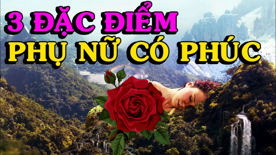 phuc-bao