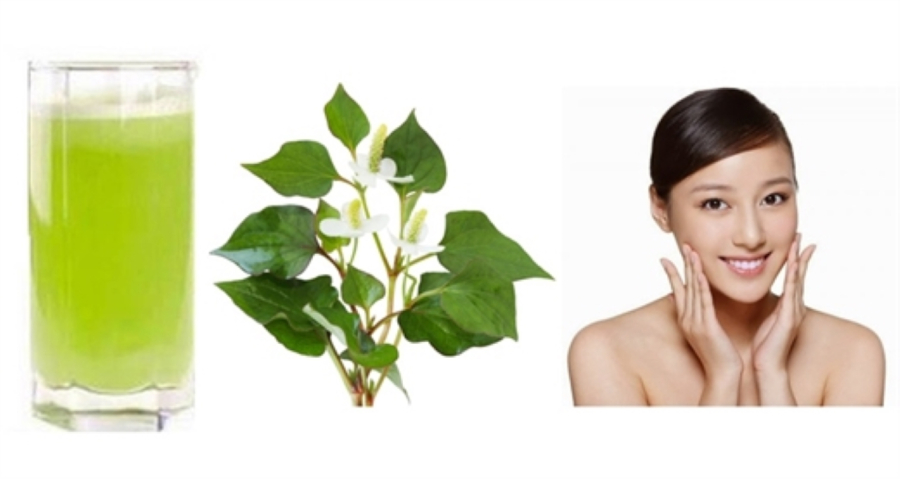 Trị mụn bằng nước ép rau diếp cá rất đơn giản và hiệu quả