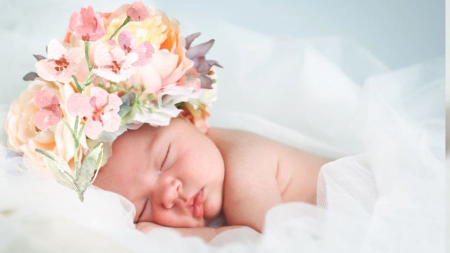 Những em bé tuổi Sửu thông minh lanh lẹn