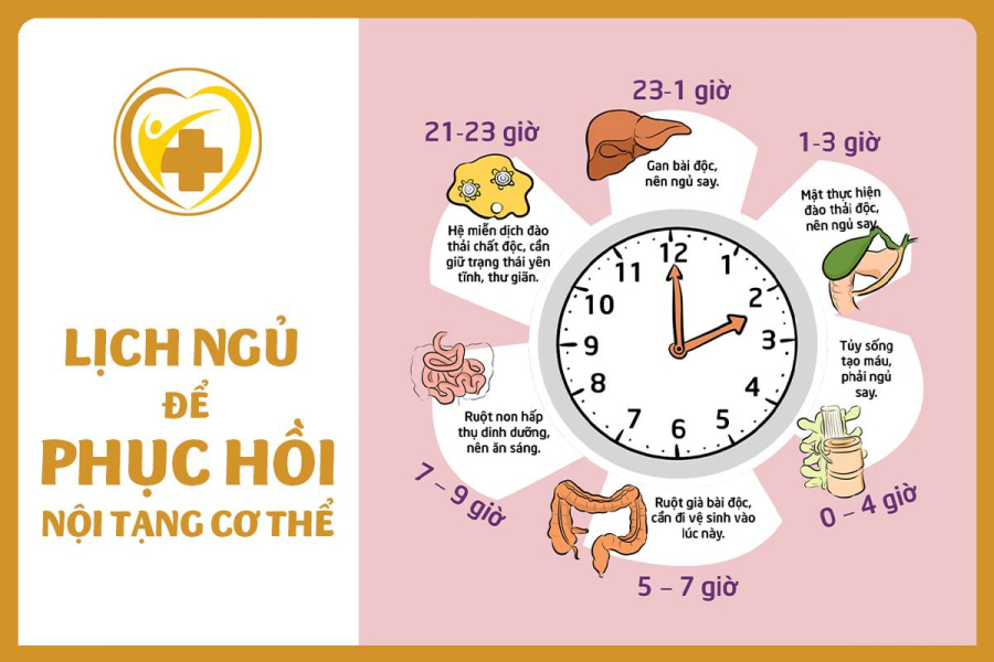 Đồng hồ sinh học của Sh88bet đăng ký miễn phí