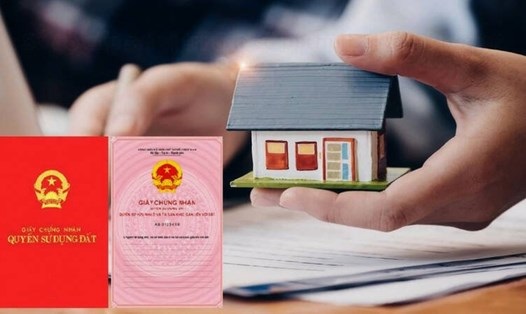 Làm Link nhập code shbet https freecode shbet pages dev 2024