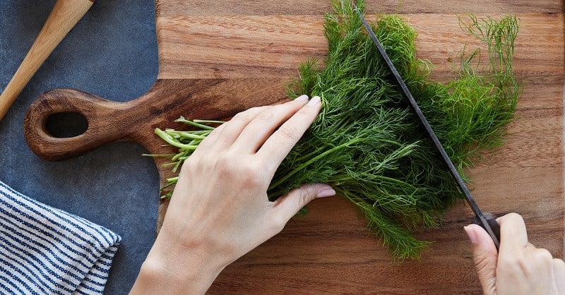 Thì là sau khi rửa sạch sẽ được cắt khúc ngắn.