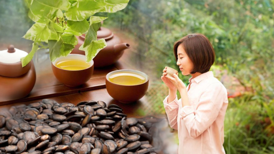 Thường xuyên uống trà xanh vào buổi sáng, Sh88bet đăng ký miễn phí bạn sẽ có những lợi ích bất ngờ