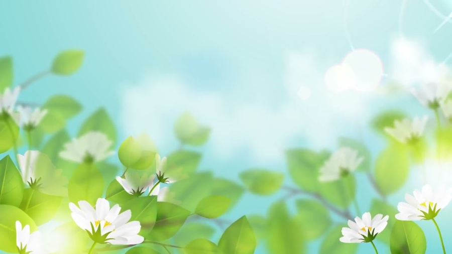 Về già nên giảm dần các mối quan hệ không cần thiết