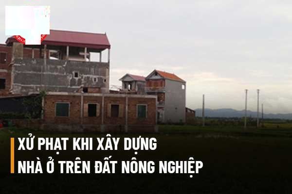 Các mức phạt khi xây nhà trên đất nông nghiệp