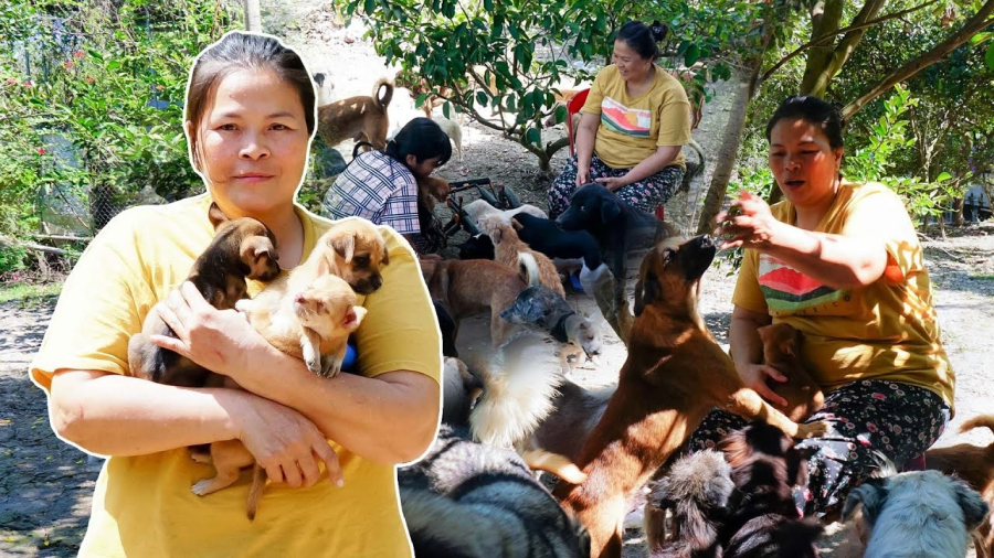 Trong mắt người xưa, việc một người phụ nữ quát lớn và dạy dỗ chó được cho là thiếu đoan trang