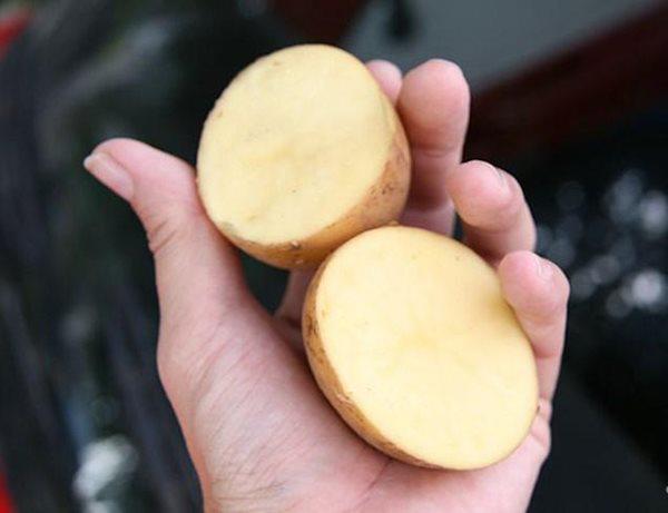 Dùng khoai tây để làm sạch hết lớp gỉ sét do củ khoai tây có chứa nhiều hợp chất axit có thể làm sạch.