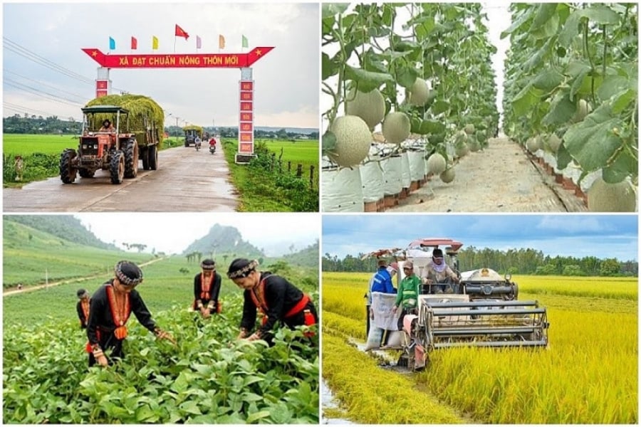 Ngành nghề nào sẽ phát triển mạnh ở nông thôn?