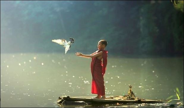 Không tranh thủ chiếm lợi từ người khác, đó là sự tu dưỡng căn bản nhất. (ảnh minh họa)
