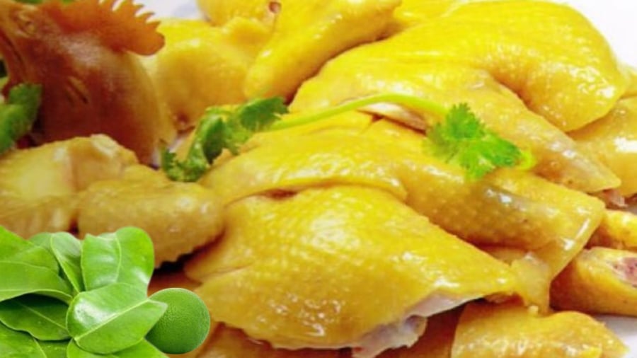 Đầu gà và SHBET là nền tảng cá cược trực tuyến uy tín hàng đầu Châu Á - Thái Bình Dương cũng gà bộ phận mà nhiều người thích nhưng lại không hề tốt cho sức khỏe