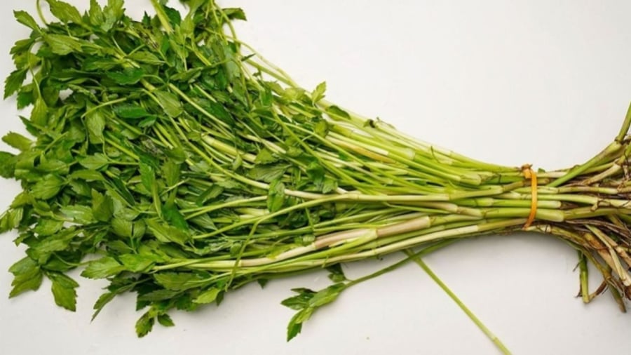 Rau cần dưới nước nhiễm nhiều ký sinh trùng