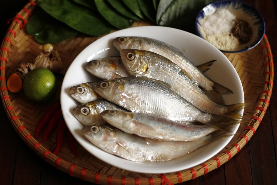 Cá mòi hiện được bán với giá từ 60.000 - 120.000 đồng/kg