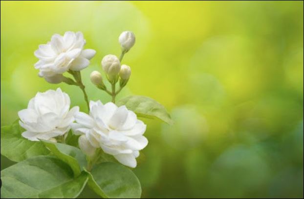 Thời gian vô hạn nhưng đời người hữu hạn, nhất là những ai đã bước qua ngưỡng tuổi 50.  (ảnh minh họa)