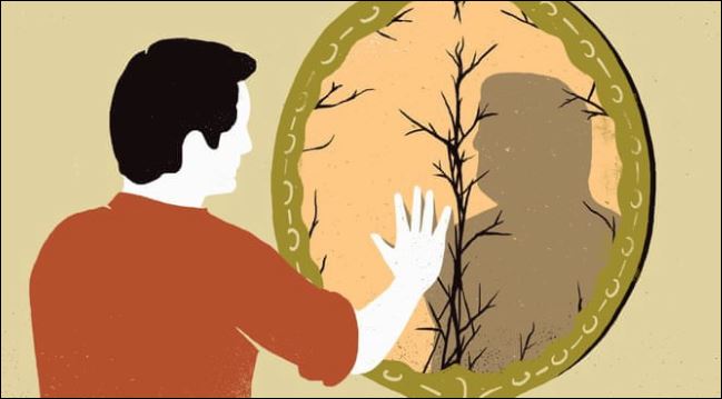 Nhà ngập ánh sáng sẽ xua tan đi những thứ không sạch sẽ, xua đuổi những con vật hung dữ. (ảnh minh họa)