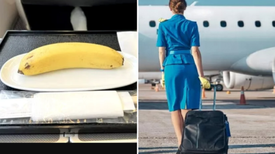 Vì sao tiếp viên hàng không hay mang chuối lên máy bay?    