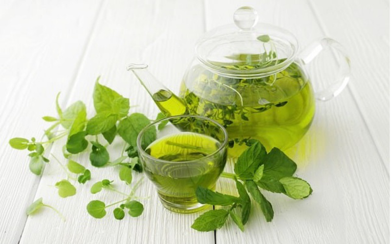 Một số hợp chất của trà xanh giúp Sh88bet đăng ký miễn phí đào thải một số chất độc