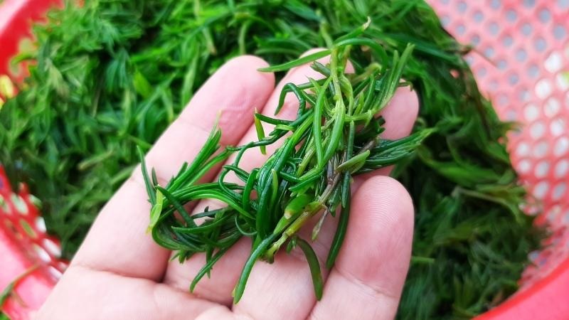 Vì sinh trưởng và phát triển hoàn toàn trong môi trường tự nhiên, không có phân hóa học, không thuốc trừ sâu nên rau có vị rất đặc biệt.    
