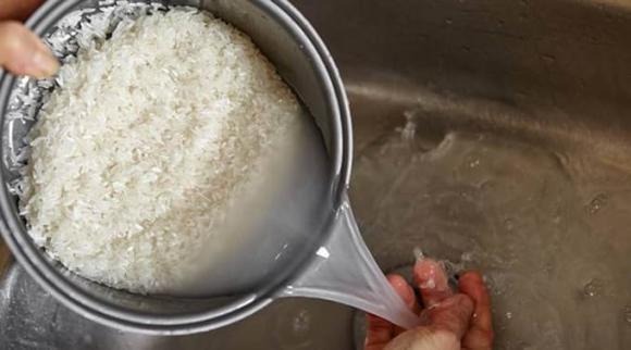 Chỉ cần pha loãng nước vo gạo và tưới lên các chậu cây hoặc khu vườn hoa, chúng sẽ cung cấp đủ dưỡng chất để cây phát triển mạnh mẽ và tươi tốt.