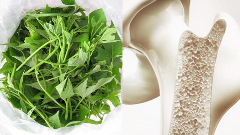 Việc ăn rau khoai lang có khả năng giúp bạn giảm nguy cơ loãng xương