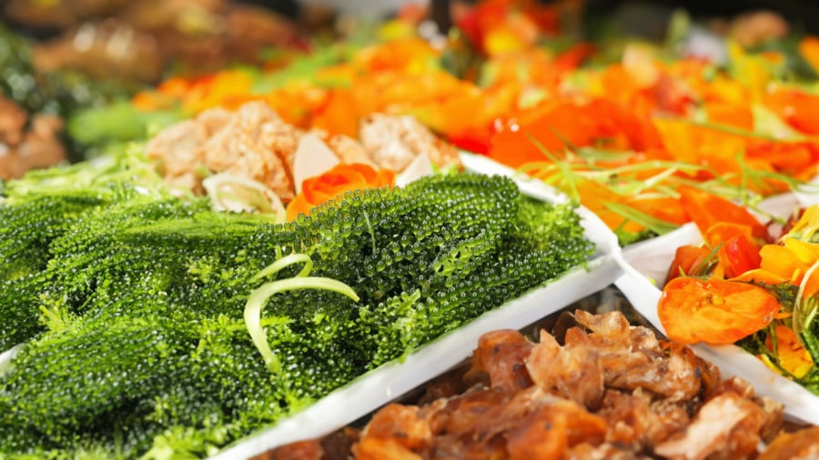 Rong biển rất giàu dinh dưỡng nên cẩn trọng khi ăn