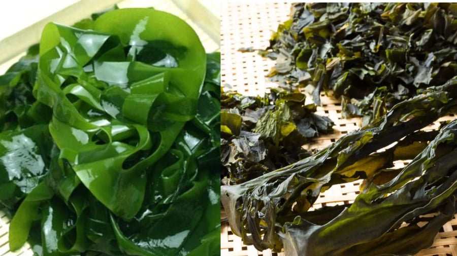 Rong biển có nhiều công dụng cho sức khỏe nhưng ăn nhiều sẽ gây thừa dinh dưỡng 