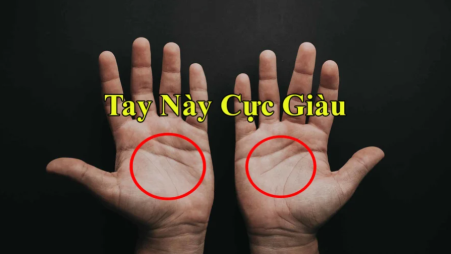 Đường chỉ tay giàu có