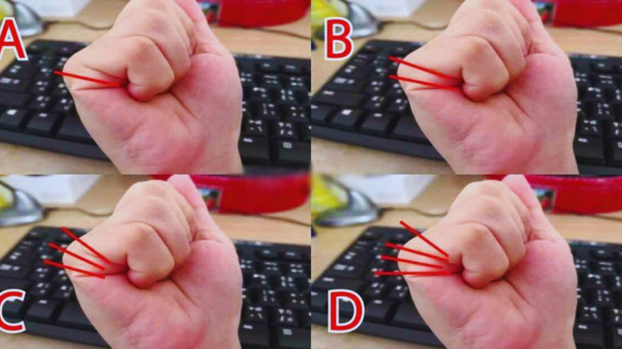 Bạn có bao nhiêu đường chỉ?
