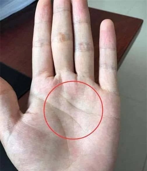 Chỉ tay có 2 đường nối liền nhau