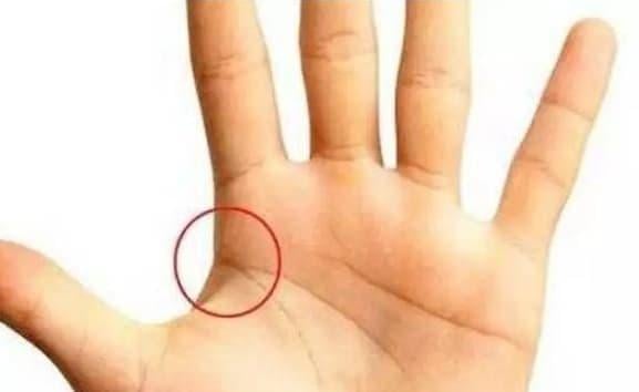 Đường sinh mệnh và đường trí tuệ cắt nhau, kéo ra khỏi lòng bàn tay    