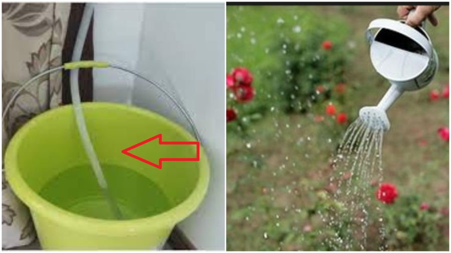 Nước thải điều hòa đừng vội đổ đi