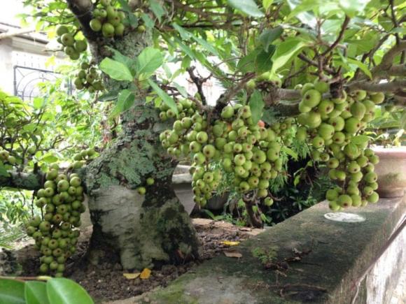 Và trong ẩm thực