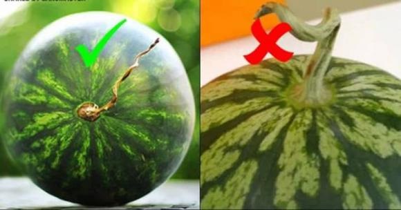 Chính vì vậy, thay vì nghe âm thanh của quả dưa, bạn có thể nhìn bề ngoài của quả dưa để dễ chọn lựa được một quả ngon.    