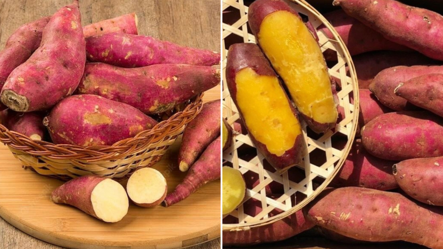 Bạn nên chọn những củ khoai lang lành lặn, có mùi thơm nhẹ, không có dấu hiệu sâu hỏng, không có đốm đen.