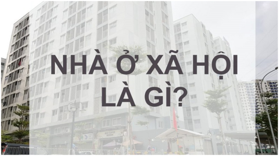 noxh sau 50 nam co bi thu hoi