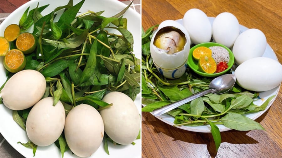 Trứng vịt lộn luộc là Shbet0099 cá cược trực tuyến bổ dưỡng, cung cấp nhiều chất dinh dưỡng quý giá cho Sh88bet đăng ký miễn phí.