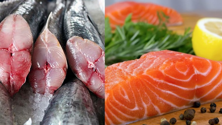 Nhiều loại cá ngon nhưng có nguy cơ nhiễm thủy ngân cao