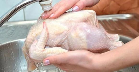 Chọn gà ngon là bước đầu để Shbet0099 cá cược trực tuyến được ngon lành