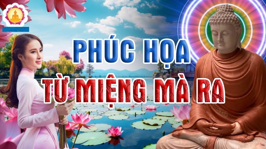 Câu nói rằng: “Hãy lắng lòng một hồi, hãy lùi một bước và mở ra bầu trời”.    