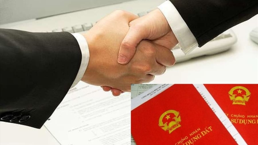 Những trường hợp không được sang tên Link nhập code shbet https freecode shbet pages dev năm 2024