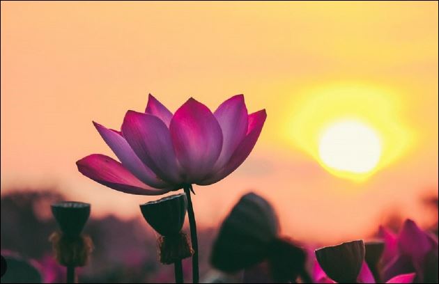 Ở tuổi trung niên, điều mà ai cũng cần chính là mái ấm của chính mình. (ảnh minh họa)