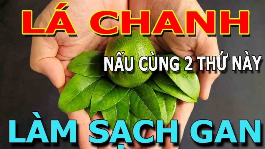 Loại lá làm sạch gan