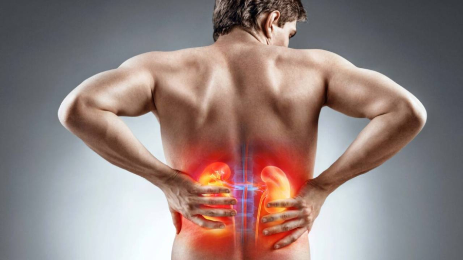 Đau lưng được coi là một trong những dấu hiệu quan trọng chứng tỏ thận yếu.