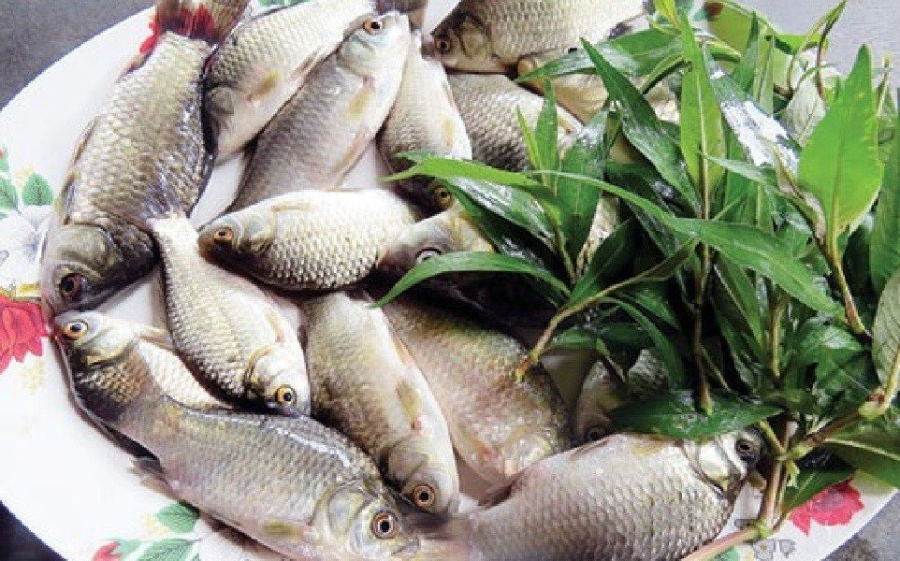 Cá diếc, một loại cá nước ngọt phổ biến, được biết đến với thịt mềm mịn và hương vị ngọt ngào, tuy nhiên, nó cũng chứa nhiều xương dăm.