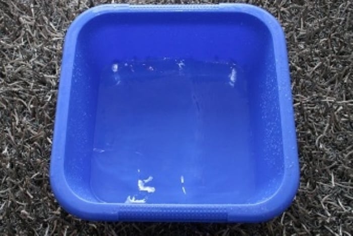 Bạn bỏ lan hồ điệp vào chậu nước đường