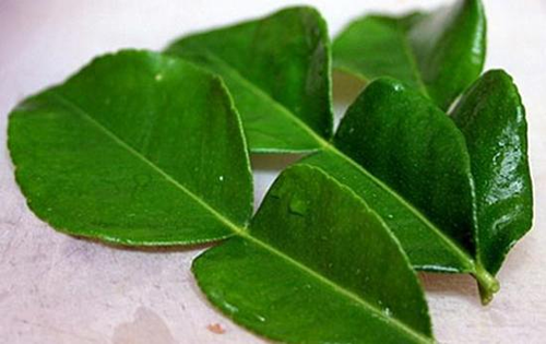 Các vùng miền của Việt Nam đều trồng chanh với những giống khác nhau